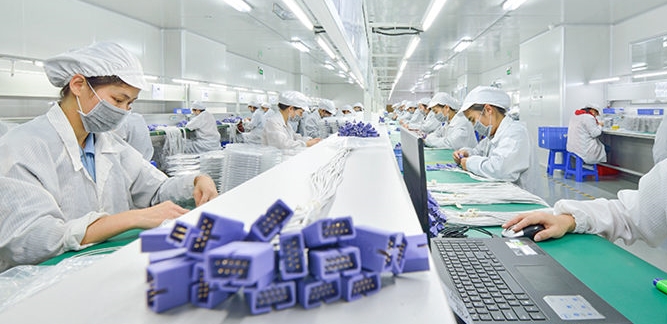 Company profile